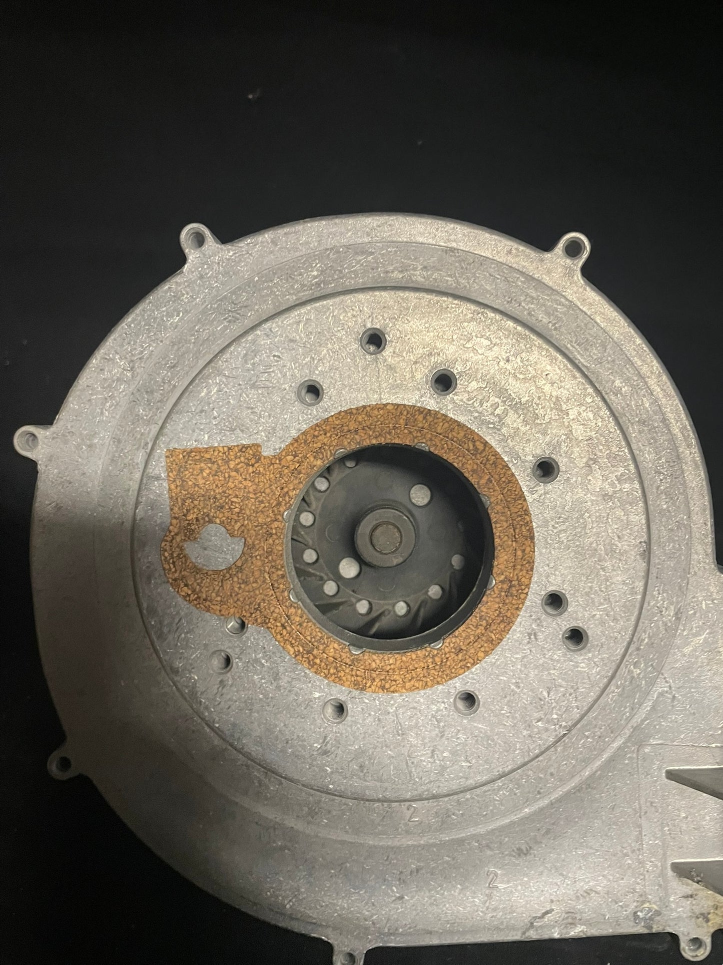 Blower Motor 550001475